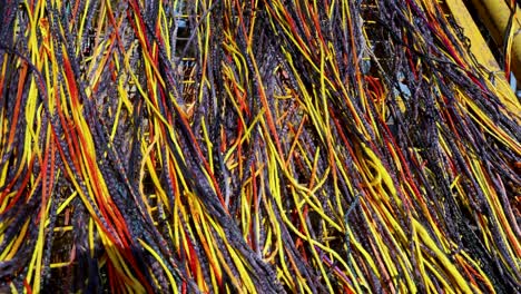 bunch-of-holy-hindu-thread-offerings-at-religious-temple