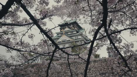 Turm-Der-Burg-Von-Osaka-Vom-Burgpark-Von-Osaka-Mit-Kirschblüten