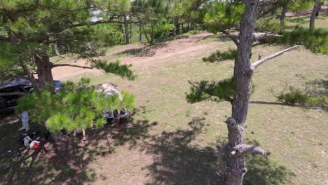 An-aerial-view-captures-a-group-of-people-camping-in-a-dense-pine-jungle