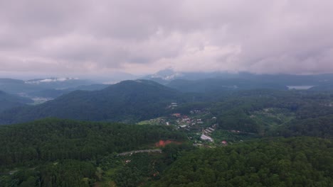 A-drone-flies-through-a-dense-pine-jungle,-capturing-stunning-aerial-views-of-the-serene-and-lush-forest