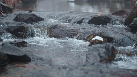 Corriente-Clara-Que-Fluye-Sobre-Rocas-En-Un-Entorno-Forestal-Sereno