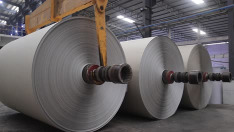 Una-Grúa-Recoge-Grandes-Rollos-De-Papel-Y-Los-Cargará-Dentro-De-La-Máquina