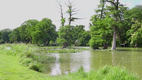 Static-footage-of-the-Guadalupe-River-in-Kerrville-Texas