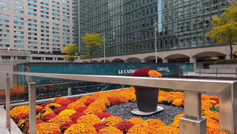 Urban-Colorful-Flowers-Garden-At-Esplanade-Ville-Marie-Downtown-Montreal