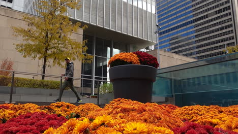 Jardín-Urbano-De-Flores-Coloridas-Y-Maceta-En-La-Explanada-De-Ville-Marie-En-El-Centro-De-Montreal