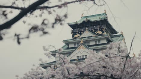 Osaka-Castle-Tower-With-Sakura-In-Foreground