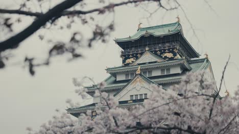 Torre-Del-Castillo-De-Osaka-Con-Sakura-En-Primer-Plano