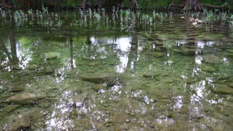 Statisches-Video-Des-Medina-River-In-Medina,-Texas