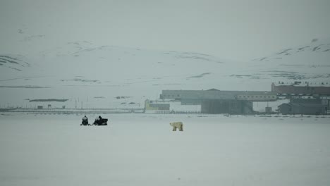 Eine-Eisbärenmutter-Wandert-Durch-Eine-Eisige-Landschaft-Auf-Spitzbergen