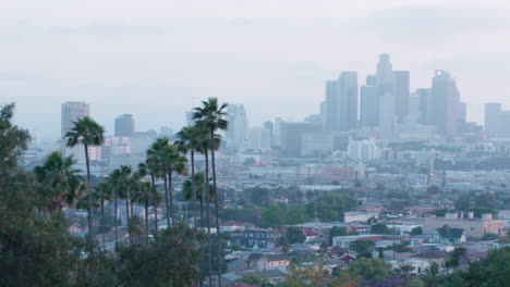 Stunning-LA-skyline-panorama-from-Ela-Park