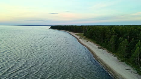 Peaceful-aerial-footage-of-a-pine-forest-meeting-a-sandy-beach,-bathed-in-the-warm-glow-of-the-setting-sun