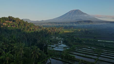 Orbital-drone-view-over-rice-fields-and-coconut-trees-and-a-sun-baked-volcano-in-the-far-distance