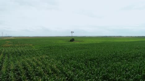 Flying-low-over-a-corn-field-towards-an-old-windmill