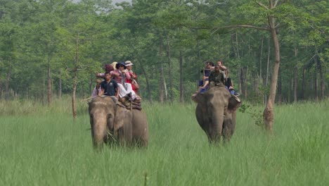 Elefanten-Dschungelsafari-Im-Chitwan-Nationalpark-In-Nepal