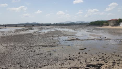 Low-tide-reveals-muddy-shore-with-distant-view-of-bridge,-Casco-Viejo,-Panama