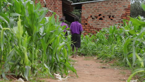 Two-students-with-purple-shirt-walking-towards-school-in-Uganda,-back-view