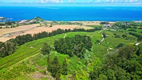 Drone-flyover-lush-tea-terraces-from-Chá-Gorreana-Plantation-with-Atlantic-Ocean-in-Background,-São-Miguel-Island