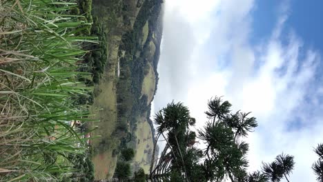 Hütten-Zwischen-Den-Bäumen,-Grüne-Umgebung,-Waldblick-Vom-Berggipfel