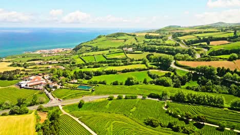 Exuberantes-Campos-Verdes-Y-Vistas-Costeras-En-La-Plantación-De-Té-Cha-Gorreana-En-Las-Azores