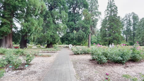 Avery-Park-Corvallis,-Oregon,-is-a-popular-city-park-with-many-trees-and-plants