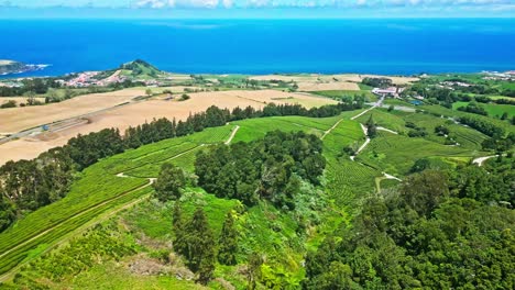 Plantación-De-Té-Cha-Gorreana-Con-Vibrantes-Campos-Verdes-Junto-Al-Océano-Atlántico,-Vista-Aérea