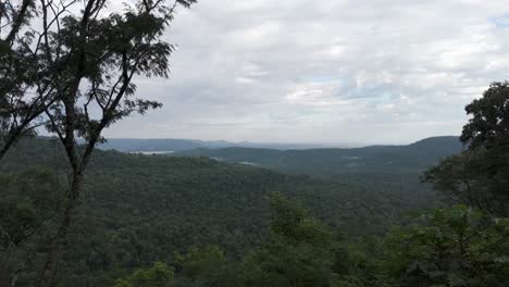 Panoramic-view-of-the-Misiones-jungle-from-a-viewpoint-on-Route-7