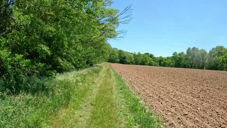 POV---Driving-grass-covered-trail-between-timber-and-a-newly-planted-field-on-a-bright-sunny-day-in-the-Midwest