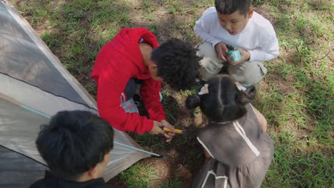 Un-Grupo-De-Niños-Instaló-Una-Tienda-De-Campaña-En-Una-Pintoresca-Colina-Cubierta-De-Pinos