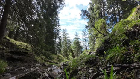 Timelapse-De-Un-Pequeño-Arroyo-De-Montaña-En-El-Bosque-Con-Nubes-En-El-Fondo