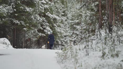 A-person-walks-through-the-pine-forest-with-a-small-white-terrier-after-the-snowfall