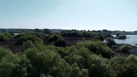 Aerial-view-of-lush-green-landscapes-and-tranquil-waters-at-Pateira-de-Fermentelos,-Aveiro