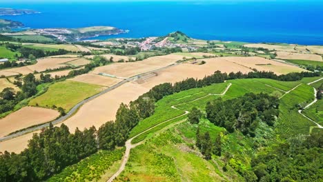 Lush-green-tea-plantation-overlooking-the-ocean-in-São-Miguel,-Azores,-aerial-view