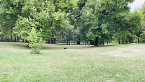 Avery-Park-Corvallis,-Oregon,-is-a-popular-city-park-with-many-trees-and-plants