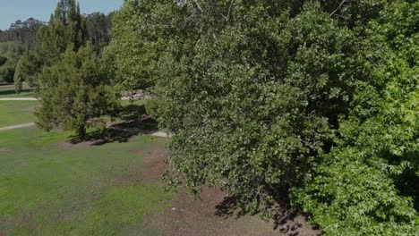 Aerial-view-of-a-green-park-area-with-trees-and-walking-paths-in-Pateira-de-Fermentelos,-Aveiro,-Portugal