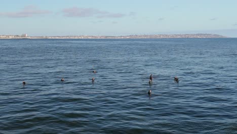 Surfistas-Turísticos-Cerca-Del-Barrio-Costero-De-Bird-Rock-En-La-Jolla,-San-Diego,-California,-EE.UU.