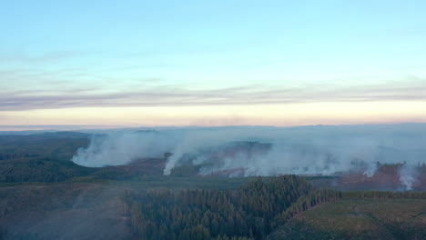 Deforestation-and-Slash-Burning-in-Coos-County,-Oregon