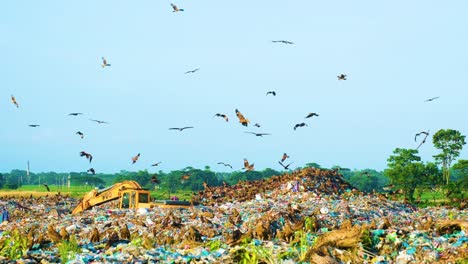 Flock-Of-Birds-In-Waste-Landfill-In-Bangladesh---Wide-Shot