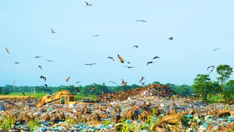 Vogelschwarm-Auf-Einer-Mülldeponie-In-Bangladesch---Weitwinkelaufnahme