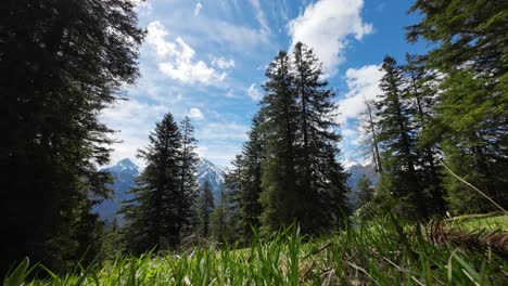 Timelapse-De-Nubes-En-Las-Montañas-De-Los-Alpes-Austriacos,-Hierba-En-Primer-Plano-Y-Bosque-De-Pinos-Y-Montañas-En-Segundo-Plano