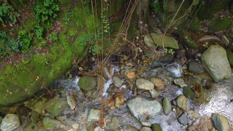 Santa-Marta,-Columbia-Forest-With-Waterfall-Streams-Running-over-Rocks-with-Vines-Hanging-Down