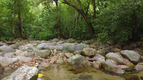 Beautiful-Stream-in-the-Rainforest-in-Santa-Marta,-Columbia-on-a-Beautiful-Day-with-Aerial-Views