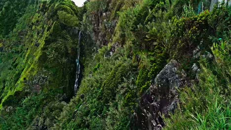 Lush-green-cliffs-with-a-small-waterfall-at-Farol-do-Arnel-in-São-Miguel,-Azores