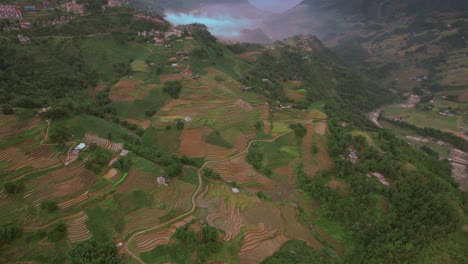 Vista-Aérea-De-Campos-De-Arroz-En-Terrazas-En-Sapa,-Vietnam,-Que-Muestran-Una-Exuberante-Vegetación-Y-Patrones-Intrincados.