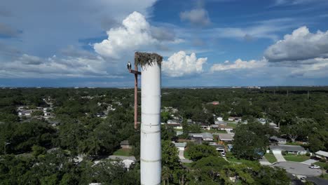 Wide-circling-video-of-a-bird-of-prey-perched-on-a-cross-overlooking-a-neighborhood-on-a-sunny-day-with-bid-white-clouds