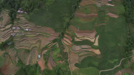 Aerial-view-of-terraced-rice-fields-in-Sapa,-Vietnam,-showcasing-lush-greenery-and-intricate-patterns