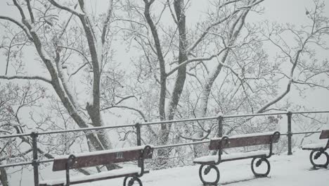 Benches,-railing,-and-trees-on-the-viewing-platform-in-the-park-are-covered-with-the-blanket-of-light-first-snow