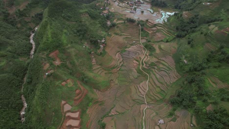 Vista-Aérea-De-Campos-De-Arroz-En-Terrazas-En-Sapa,-Vietnam,-Que-Muestran-Una-Exuberante-Vegetación-Y-Patrones-Intrincados.