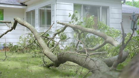 Left-pan-across-storm-damage-in-a-yard