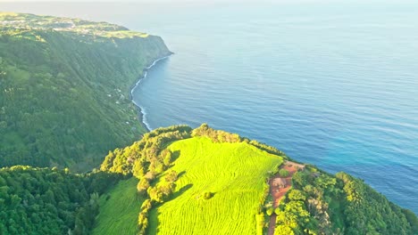 Miraduros-Ponta-Da-Madrugada,-Portugal,-Con-Exuberante-Vegetación-Y-Una-Impresionante-Costa,-Vista-Aérea