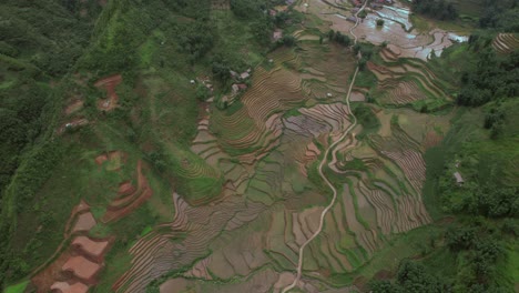 Vista-Aérea-De-Campos-De-Arroz-En-Terrazas-En-Sapa,-Vietnam,-Que-Muestran-Una-Exuberante-Vegetación-Y-Patrones-Intrincados.